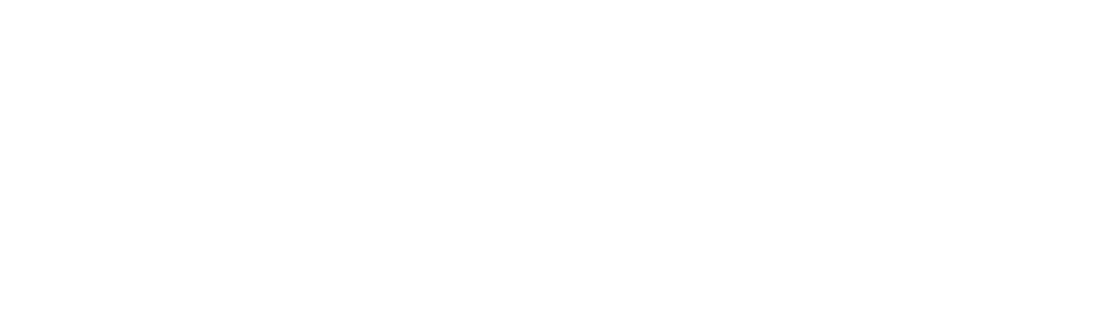 Леон Казино логотип